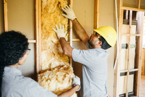 Best Crawl Space Insulation  in Concord, VA